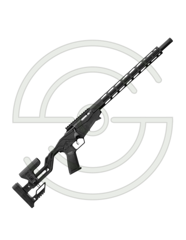 CARA RUGER PRECISION RIMFIRE .22LR 10CPS 18" 46CM | SHOOTINGSHOP ARMURERIE MODERNE