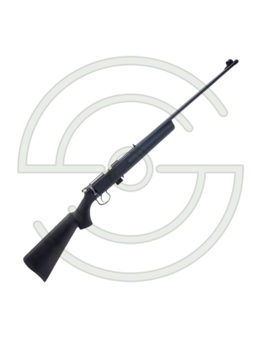 Carabine NR15 22LR/22MAG SPORTING RIFLES | SHOOTINGSHOP ARMURERIE MODERNE