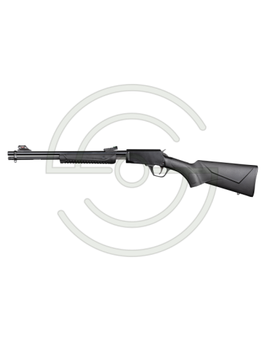 Carabine à pompe Rossi Gallery cal. 22 LR | Armurerie Moderne Shooting Shop