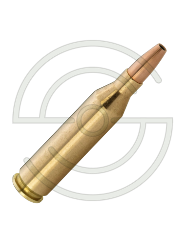 NORMA .243 WINCHESTER BALLE VERMINXTREME 76GR / 4,9G | SHOOTINGSHOP ARMURERIE MODERNE