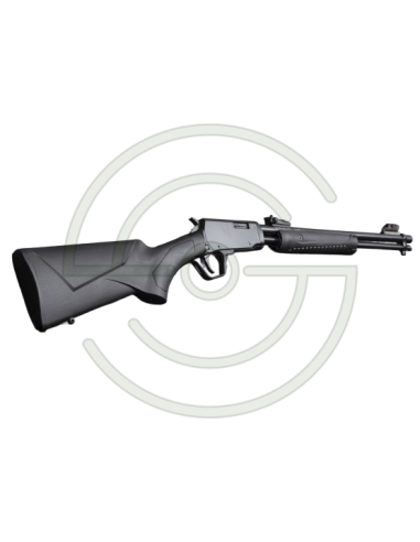 Carabine à pompe Rossi Gallery cal. 22 LR | Armurerie Moderne Shooting Shop