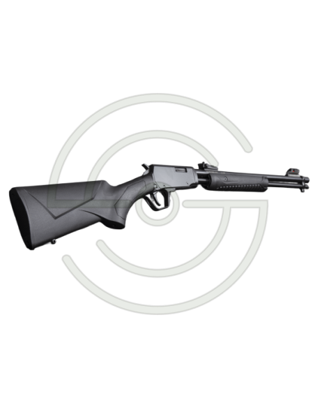 Carabine à pompe Rossi Gallery cal. 22 LR | Armurerie Moderne Shooting Shop