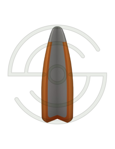 CARTOUCHES CAL 22 REM SUPER X - 50GR X20 | SHOOTINGSHOP ARMURERIE MODERNE