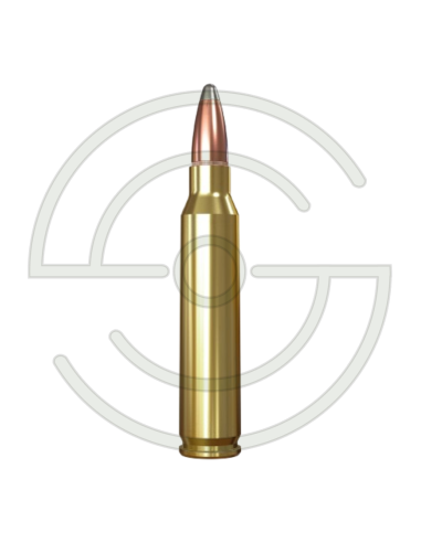 CARTOUCHES CAL 22 REM SUPER X - 50GR X20 | SHOOTINGSHOP ARMURERIE MODERNE