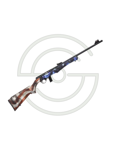 Carabine Rossi 8122 — Calibre .22LR (Version USA) | Armurerie Moderne Shooting Shop
