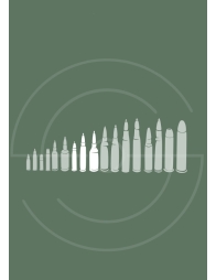 Carabines catégorie B | Shooting Club | Dreux 28100