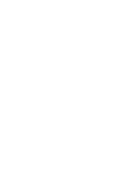 Calibre 44Magnum