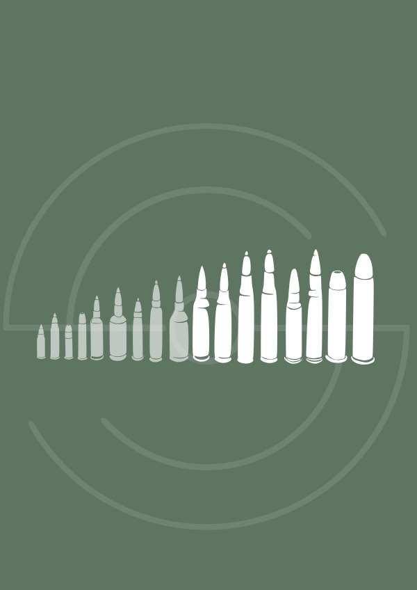 Carabines Gros Calibres