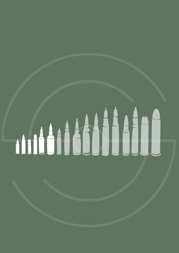 Carabines Petits Calibres