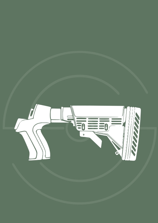 AR 15